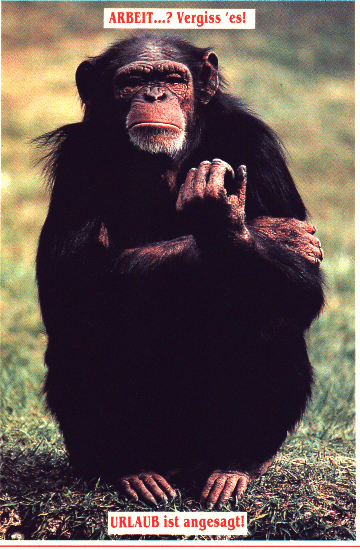 ARBEIT...? Vergiss es...! - URLAUB ist angesagt!